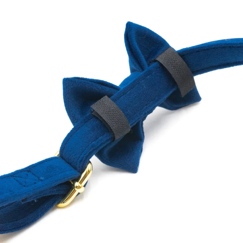 Welurowa muszka dla psa - granatowa