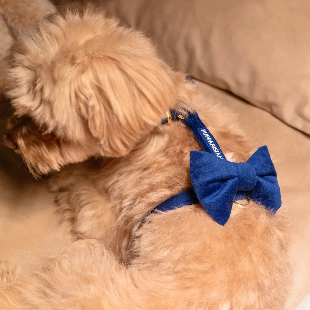 Welurowa muszka dla psa - granatowa