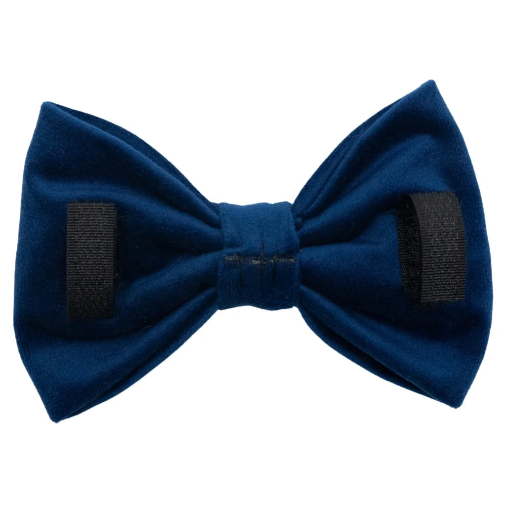 Welurowa muszka dla psa - granatowa