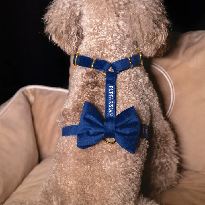 Welurowa muszka dla psa - granatowa