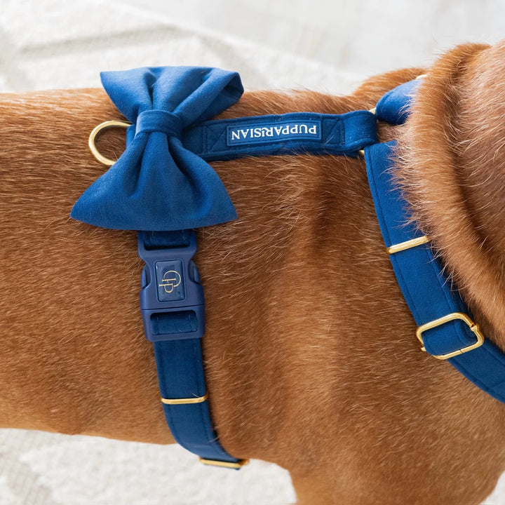 Welurowa muszka dla psa - granatowa