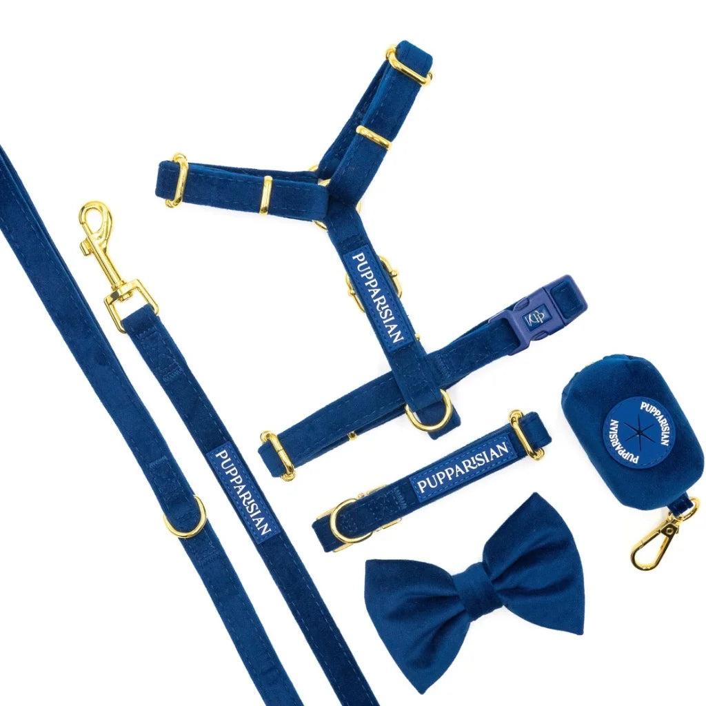 Welurowa muszka dla psa - granatowa