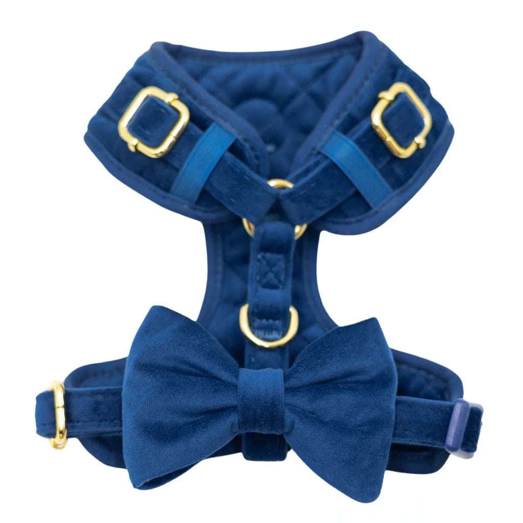 Welurowa muszka dla psa - granatowa
