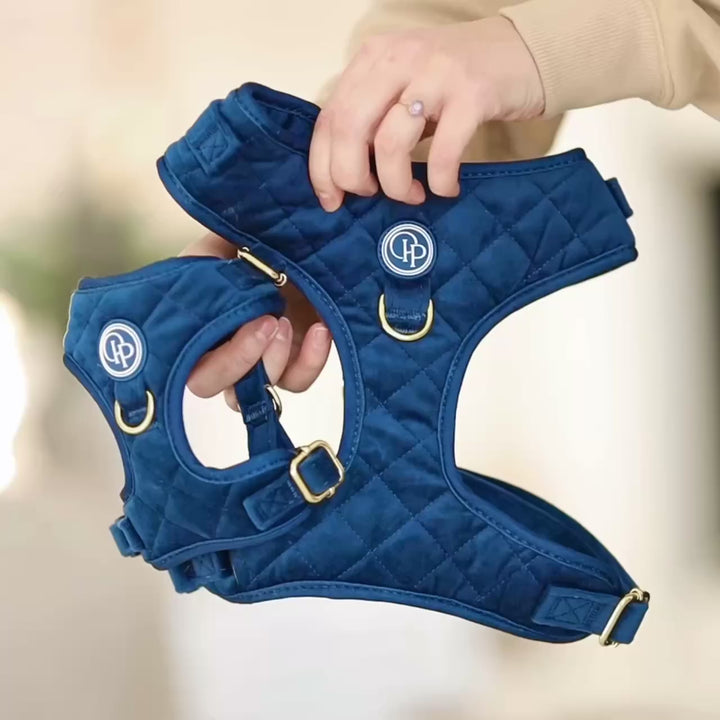 Welurowa muszka dla psa - granatowa