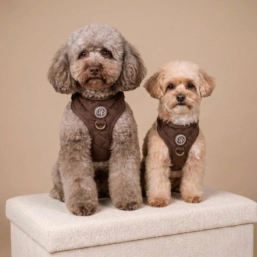 Welurowe szelki bezuciskowe dla psa – brązowe