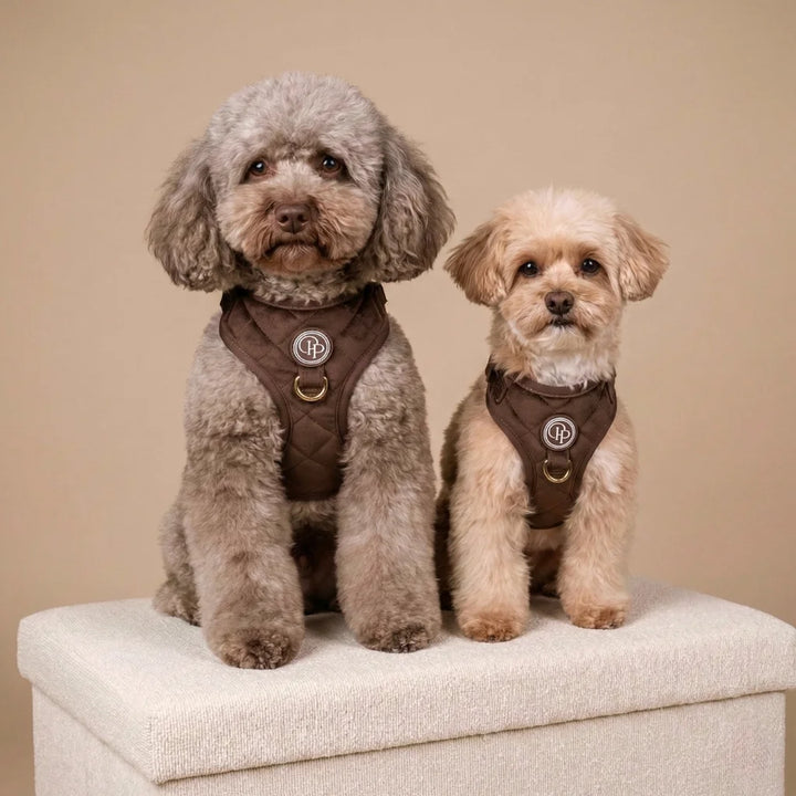 Welurowe szelki bezuciskowe dla psa – brązowe