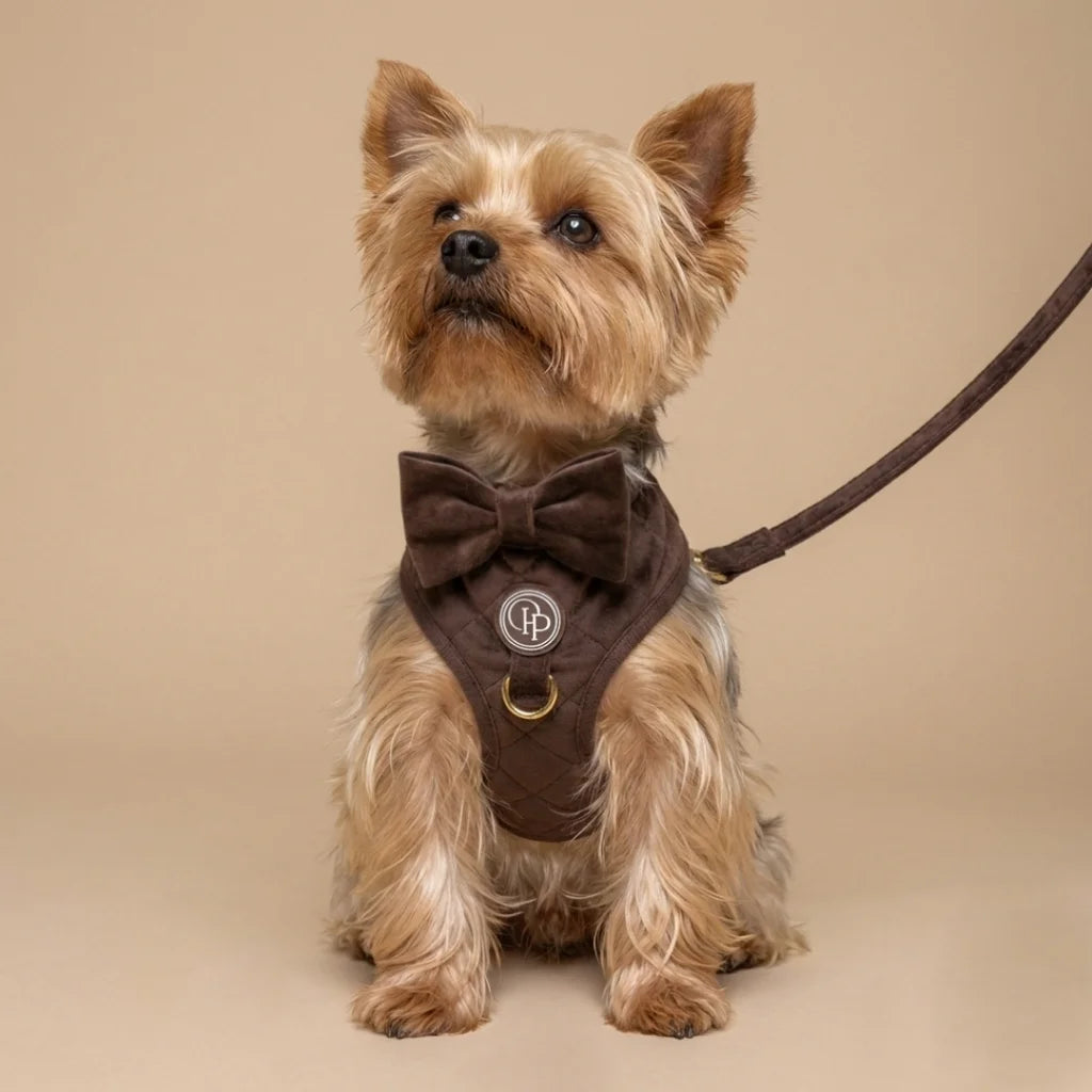 Welurowe szelki bezuciskowe dla psa – brązowe