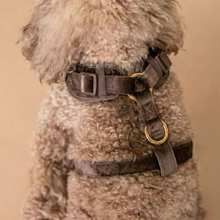 Welurowe szelki bezuciskowe dla psa – brązowe