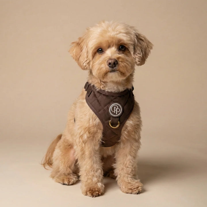 Welurowe szelki bezuciskowe dla psa – brązowe