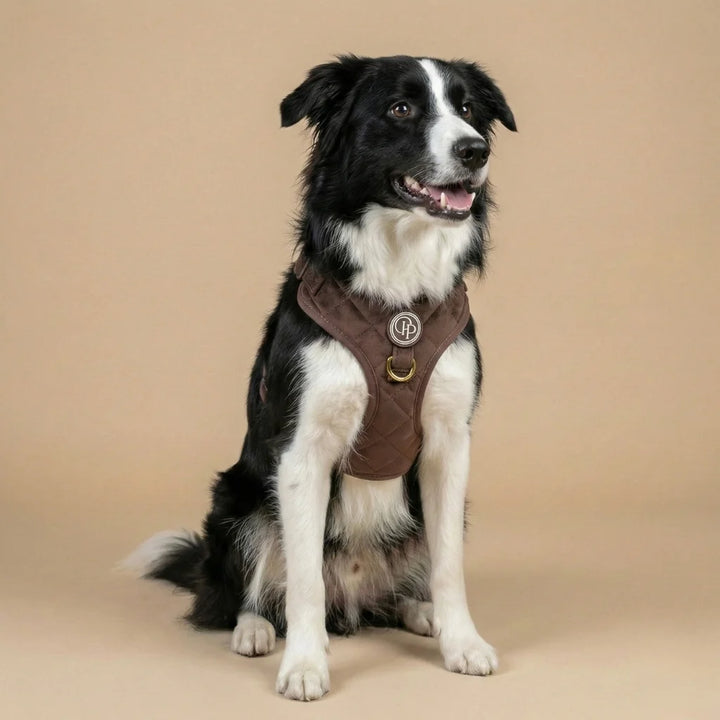 Welurowe szelki bezuciskowe dla psa – brązowe