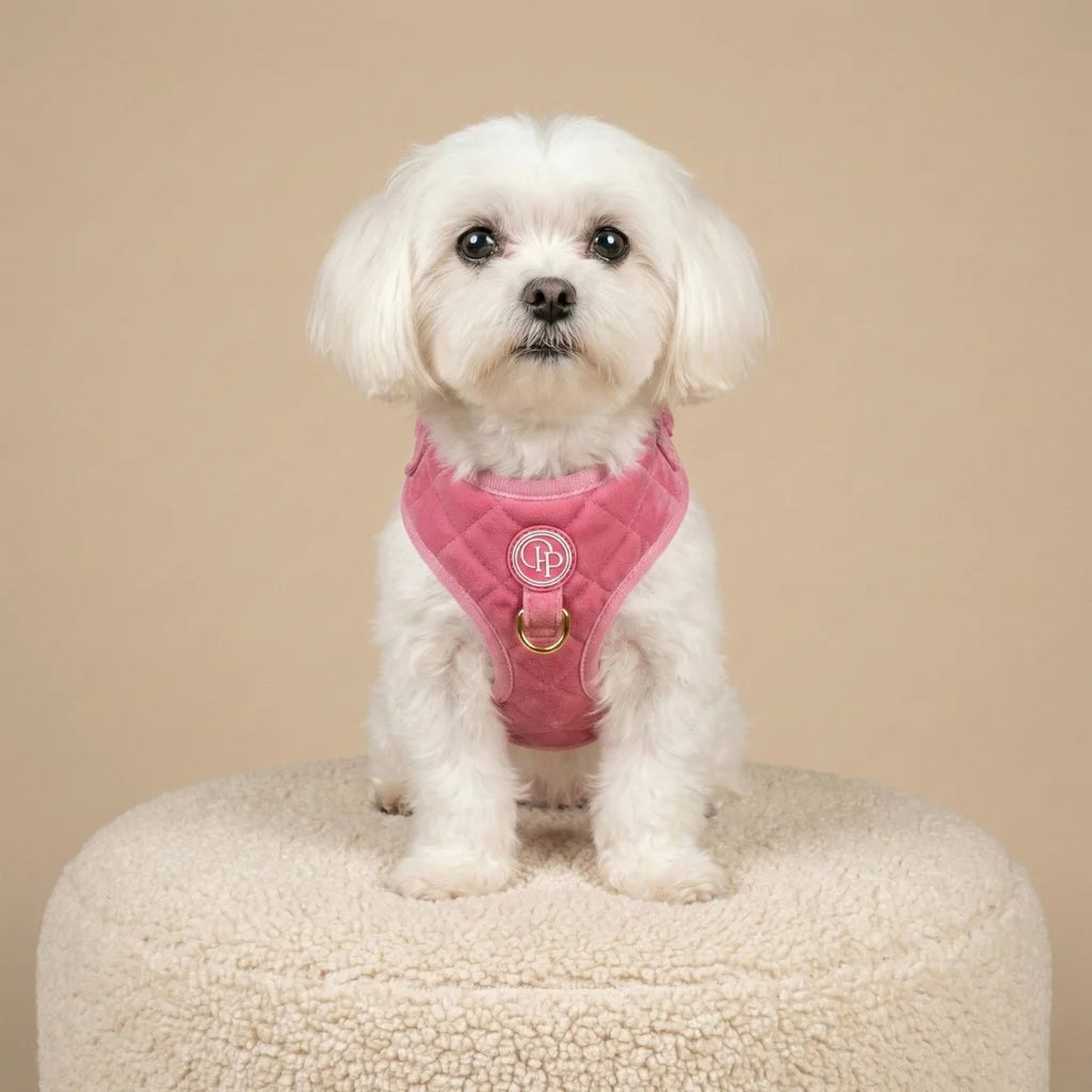 Welurowe szelki bezuciskowe dla psa – różowe