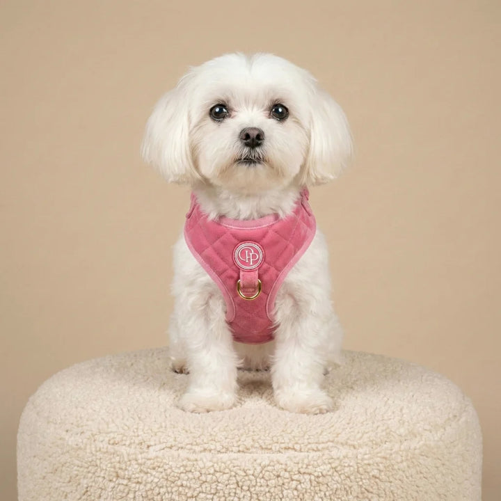 Welurowe szelki bezuciskowe dla psa – różowe