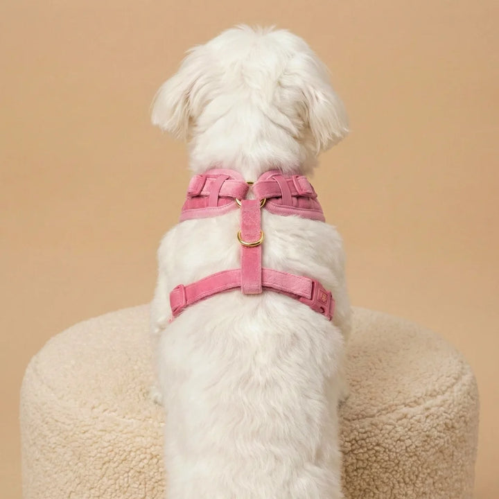 Welurowe szelki bezuciskowe dla psa – różowe
