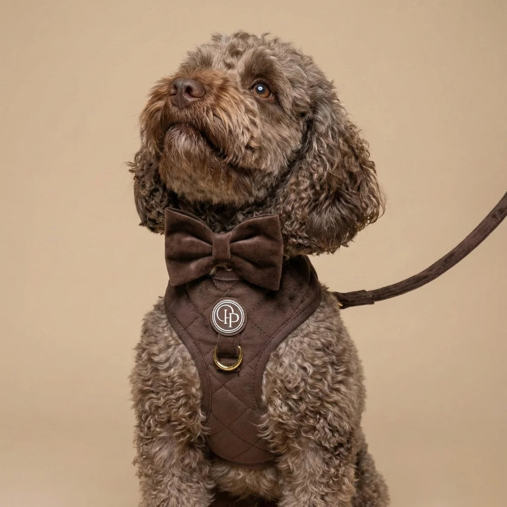 Welurowe szelki bezuciskowe dla psa – brązowe