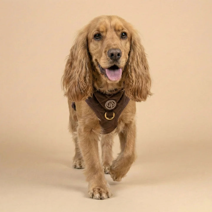 Welurowe szelki bezuciskowe dla psa – brązowe