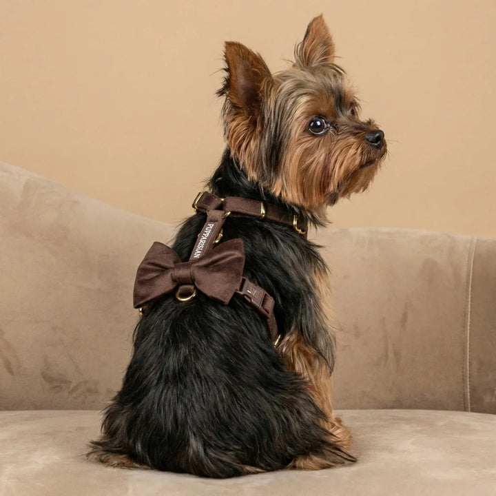 Welurowe szelki guard dla psa z kokardą 2.0 - brązowe