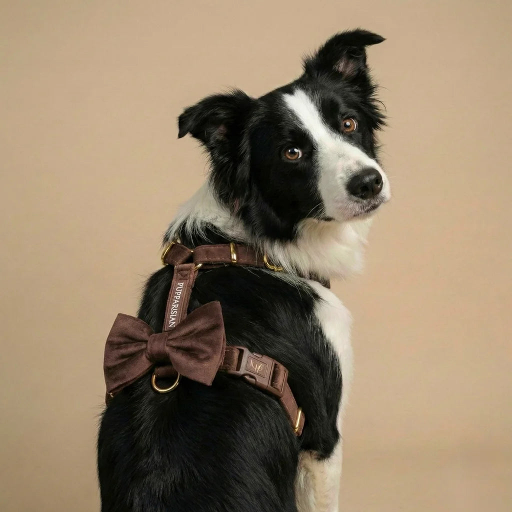 Welurowe szelki guard dla psa 2.0 - brązowe