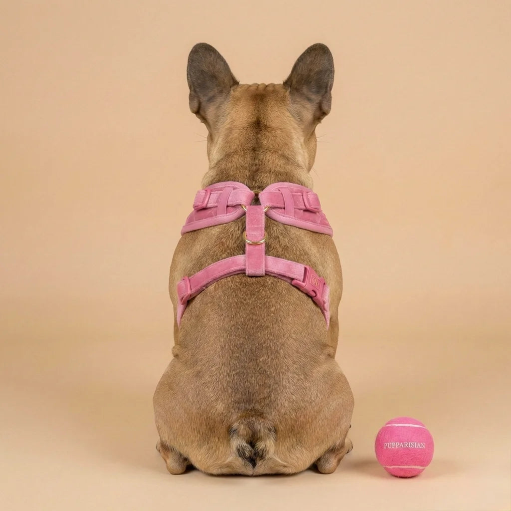 Welurowe szelki bezuciskowe dla psa – różowe