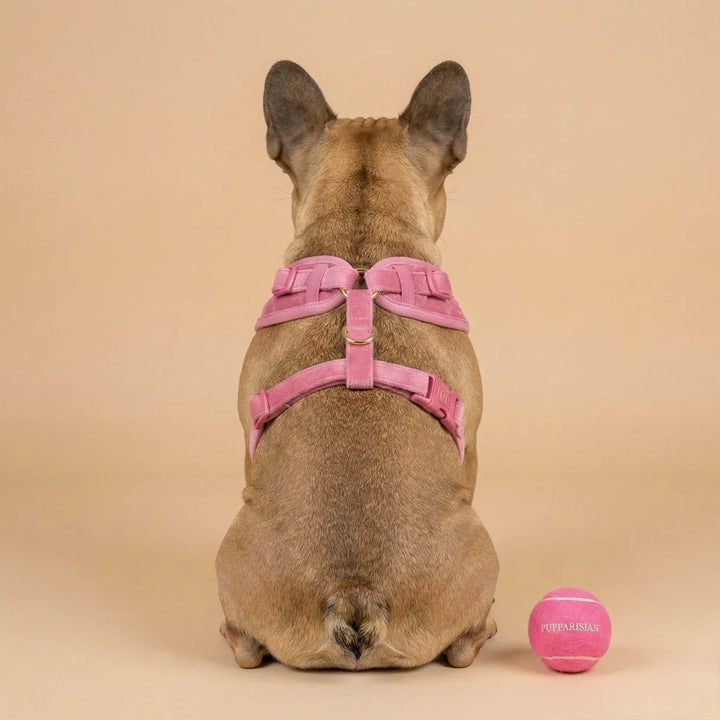 Welurowe szelki bezuciskowe dla psa – różowe