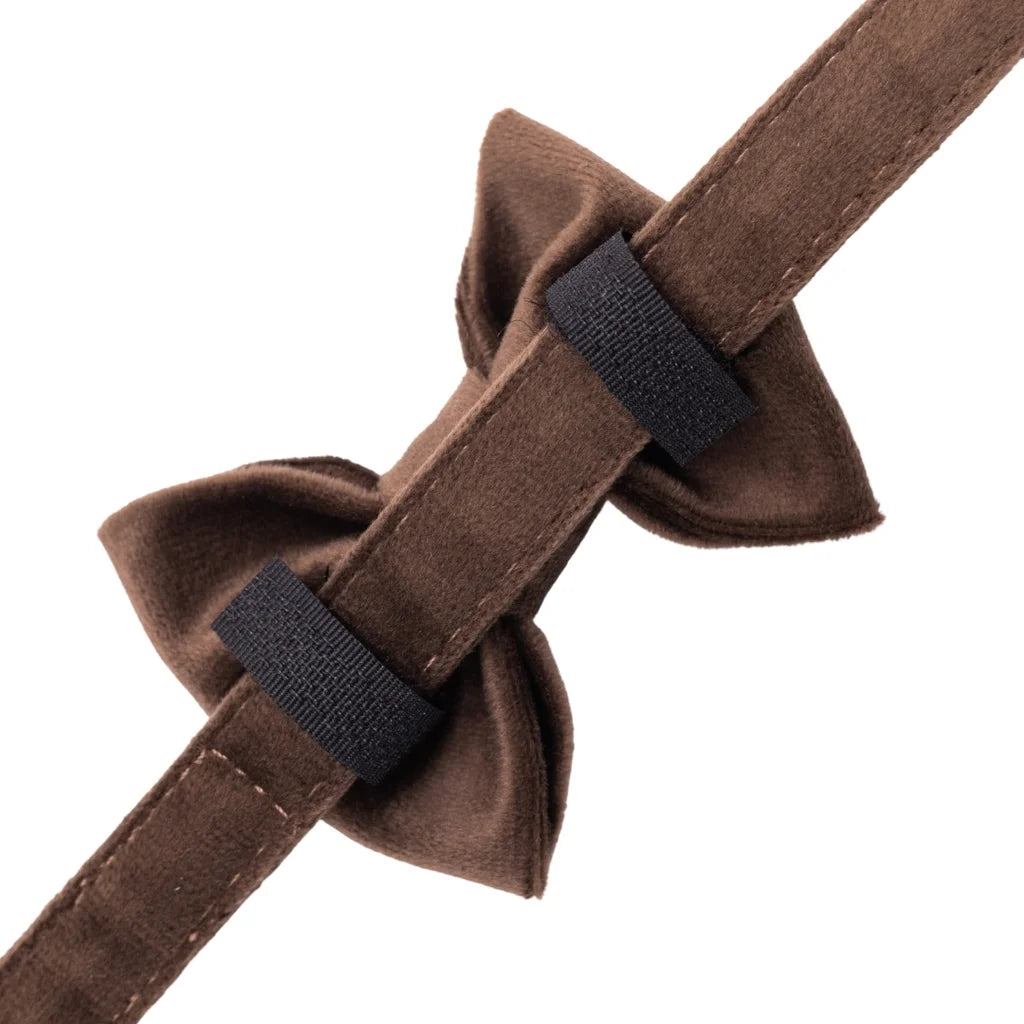Welurowa obroża z muszką dla psa – brązowa