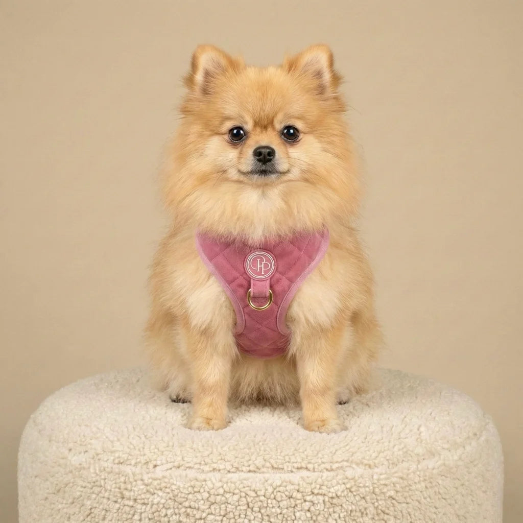 Welurowe szelki bezuciskowe dla psa – różowe