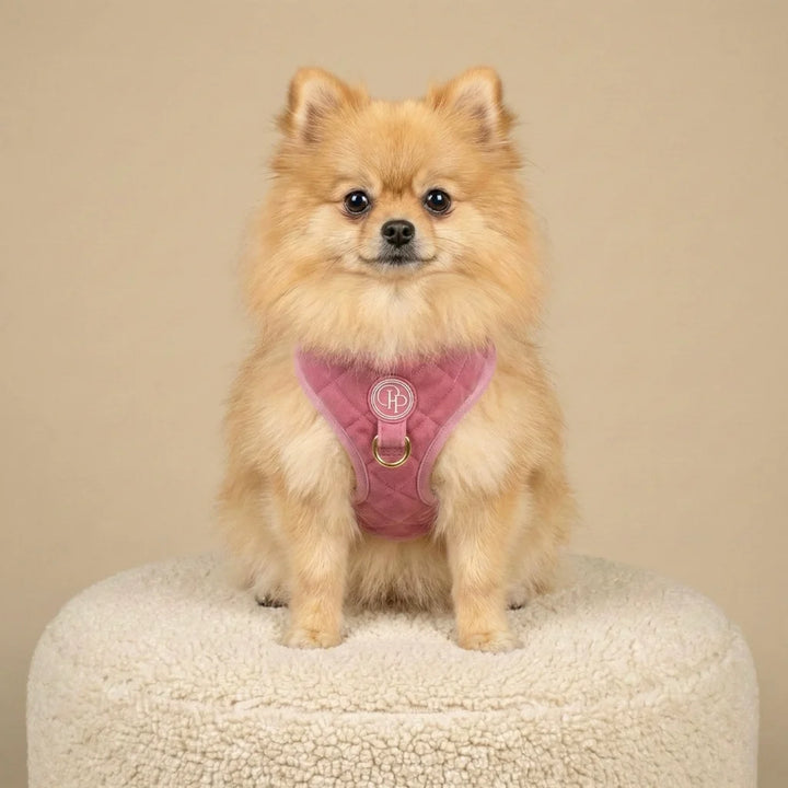 Welurowe szelki bezuciskowe dla psa – różowe