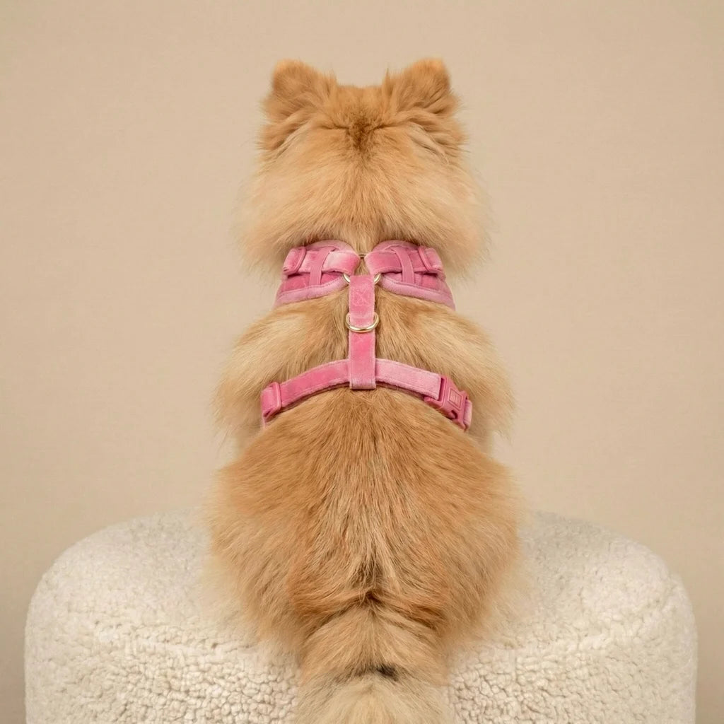 Welurowe szelki bezuciskowe dla psa – różowe