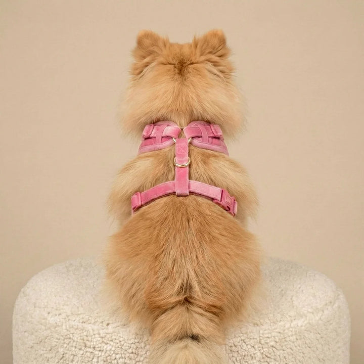 Welurowe szelki bezuciskowe dla psa – różowe