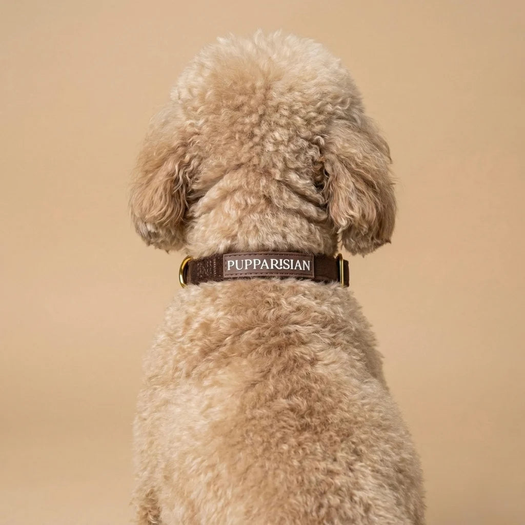 Welurowa obroża z muszką dla psa – brązowa