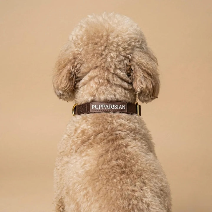 Welurowa obroża z muszką dla psa – brązowa