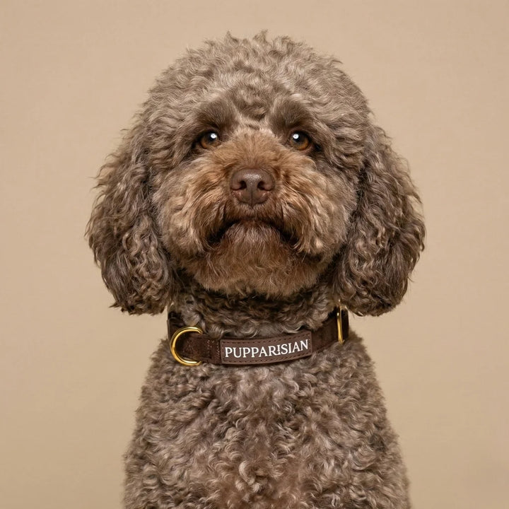 Welurowa obroża z muszką dla psa – brązowa