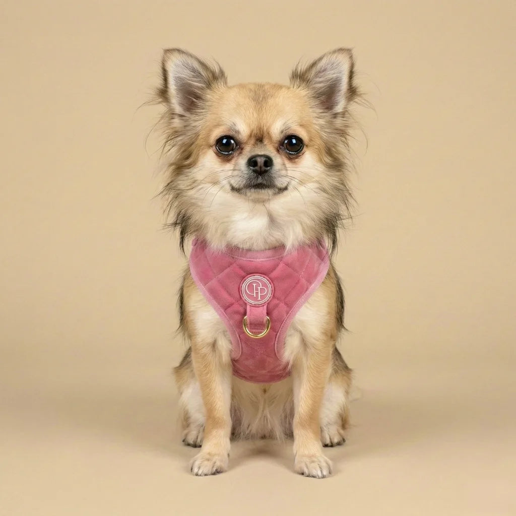 Welurowe szelki bezuciskowe dla psa – różowe