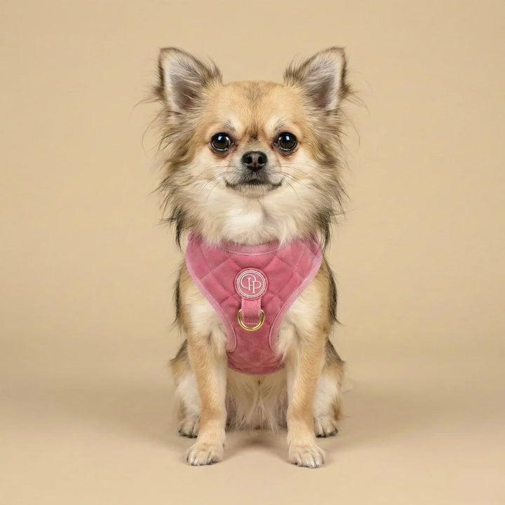 Welurowe szelki bezuciskowe dla psa – różowe