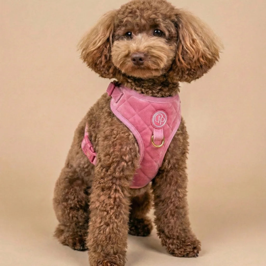 Welurowe szelki bezuciskowe dla psa – różowe