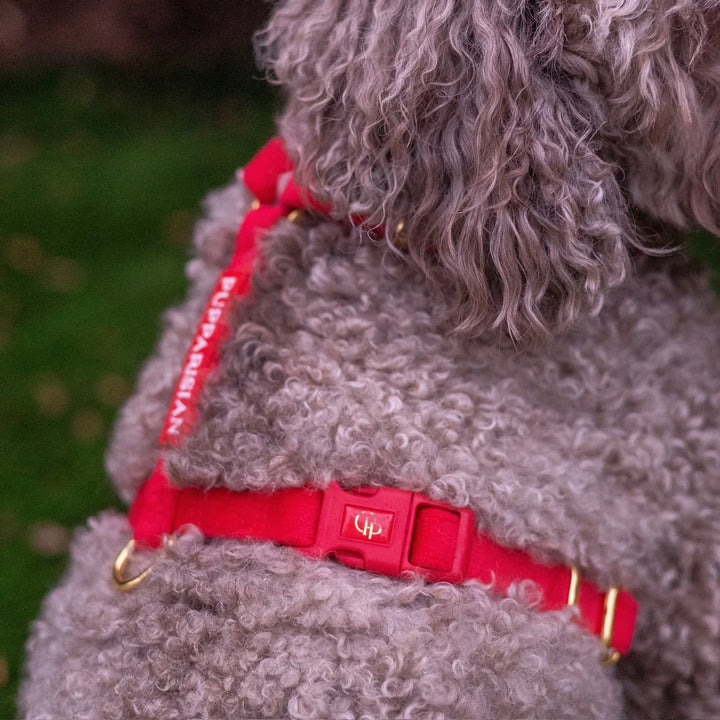 Welurowe szelki guard dla psa 2.0 – czerwone