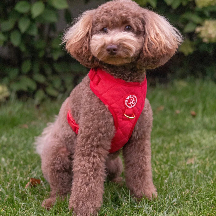 Welurowe szelki bezuciskowe dla psa 2.0 - czerwone