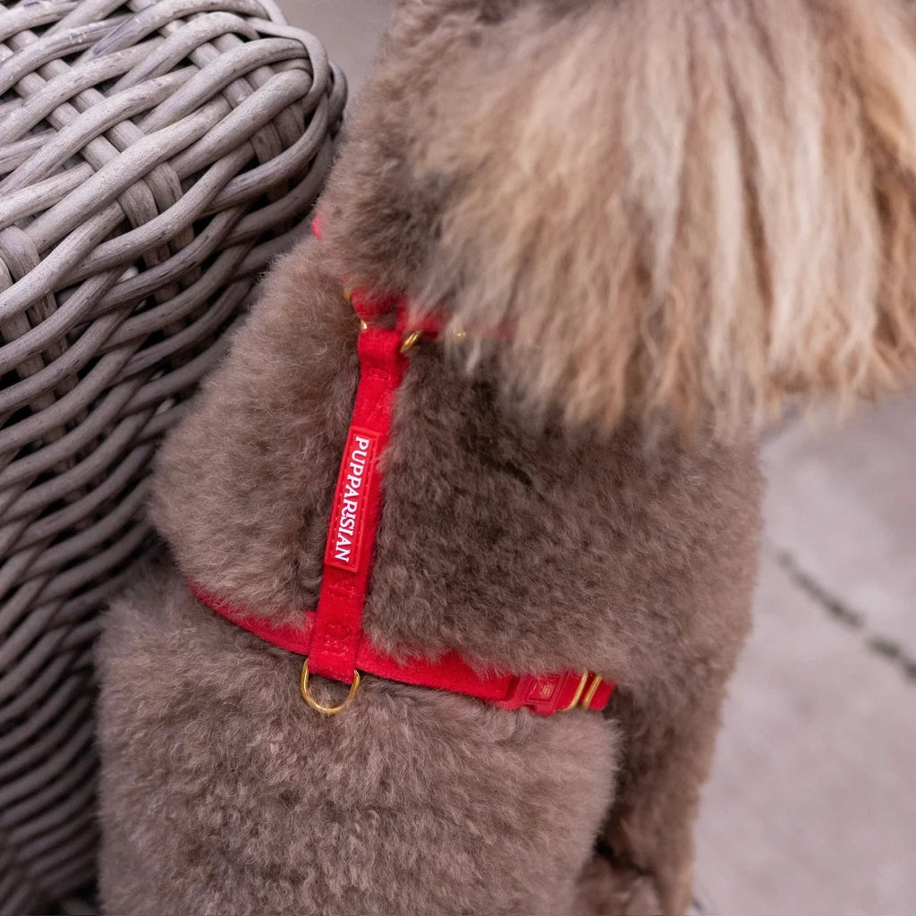 Welurowe szelki guard dla psa 2.0 – czerwone