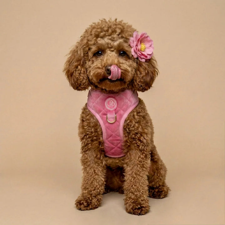 Welurowe szelki bezuciskowe dla psa – różowe