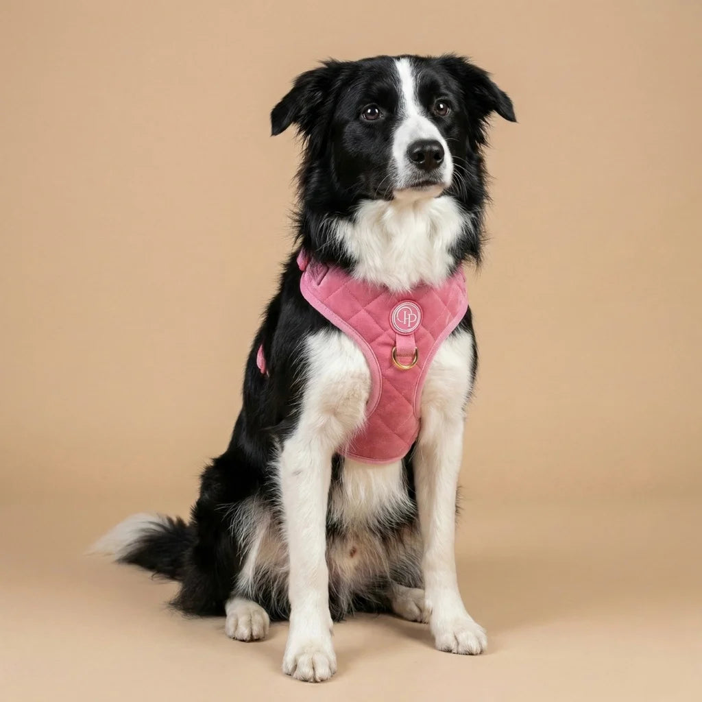 Welurowe szelki bezuciskowe dla psa – różowe