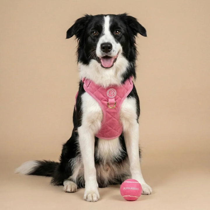 Welurowe szelki bezuciskowe dla psa – różowe