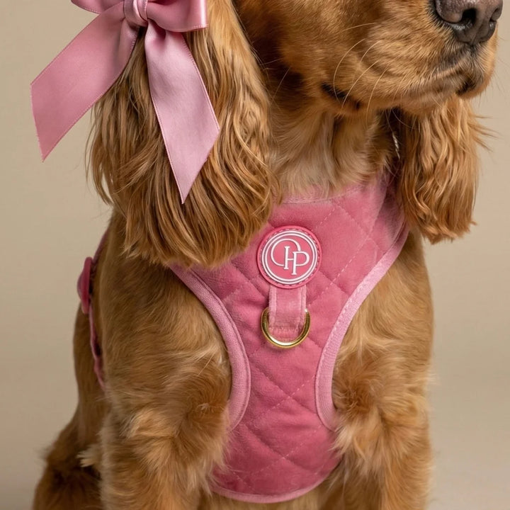 Welurowe szelki bezuciskowe dla psa – różowe