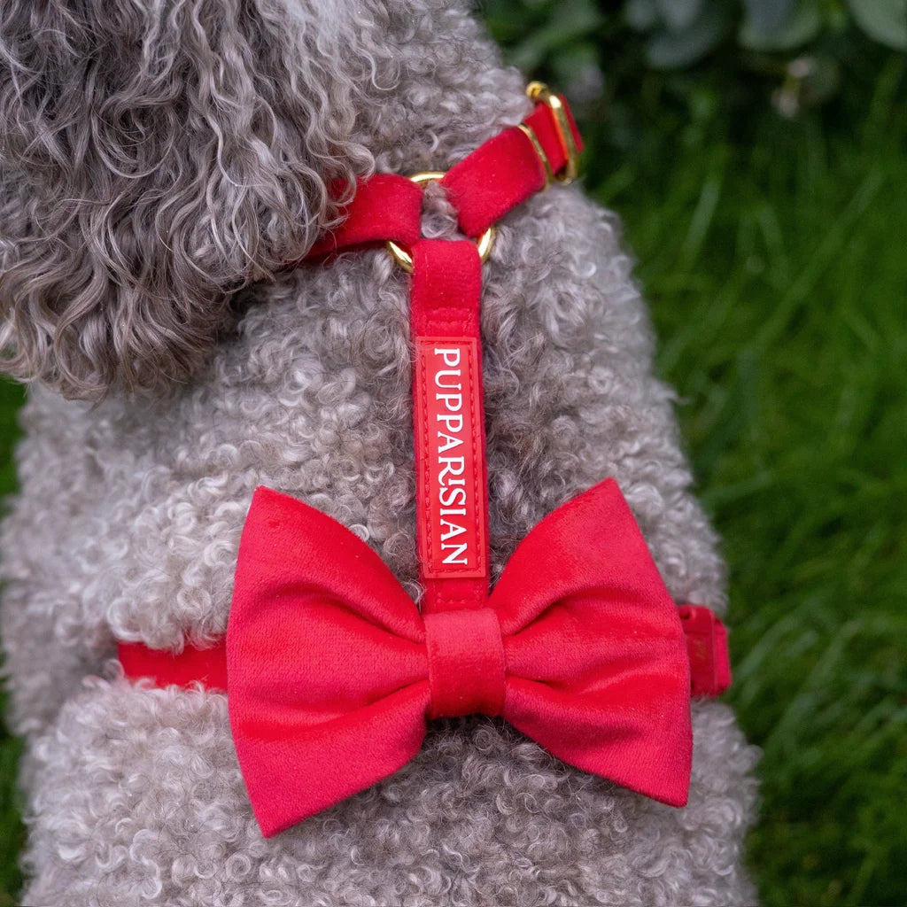 Welurowe szelki guard dla psa z kokardą 2.0 – czerwone