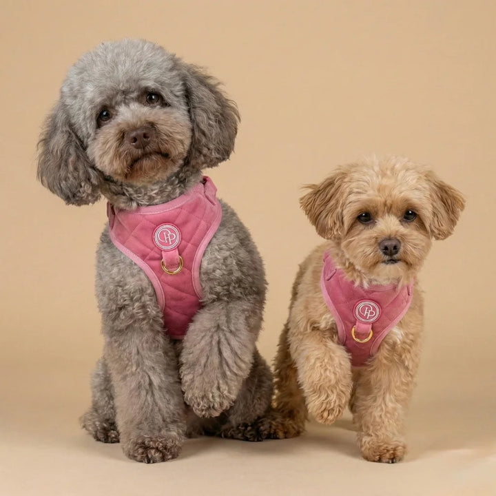 Welurowe szelki bezuciskowe dla psa – różowe