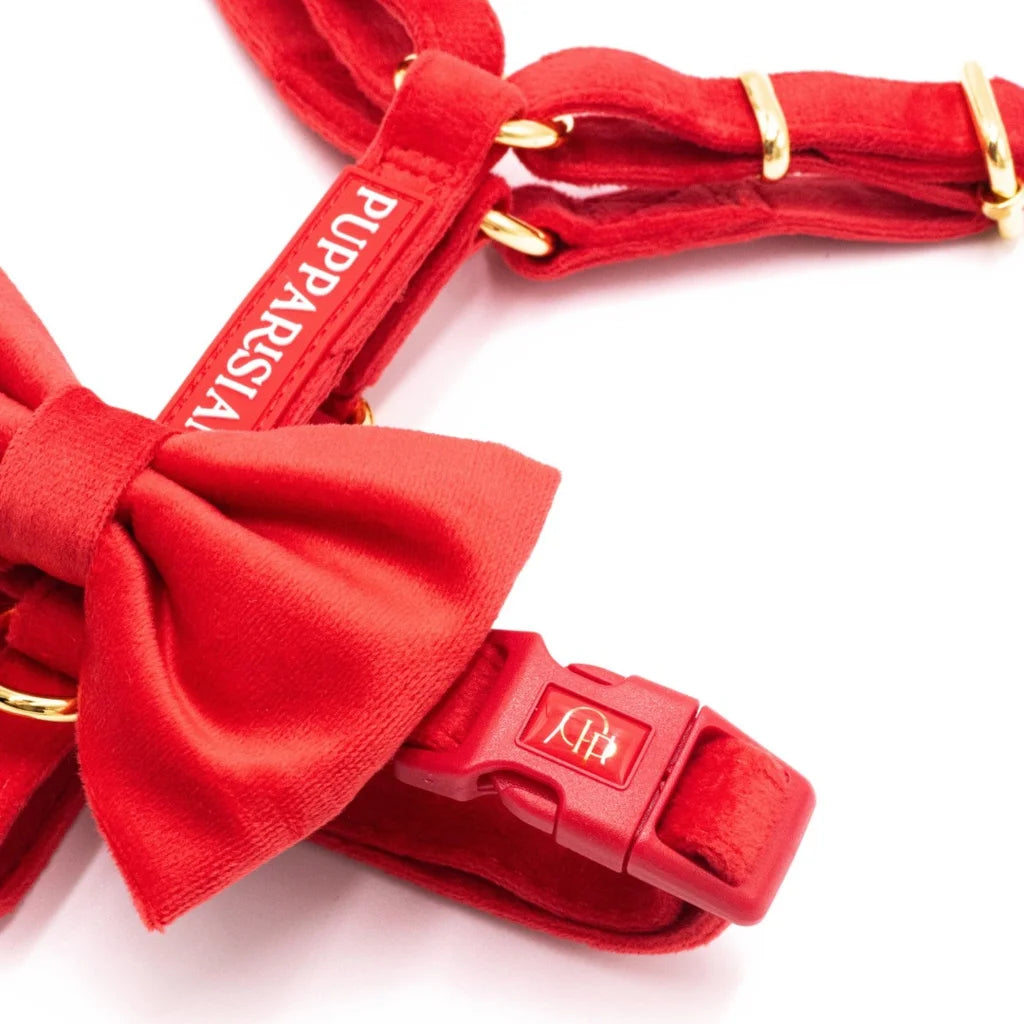 Welurowe szelki guard dla psa z kokardą 2.0 – czerwone