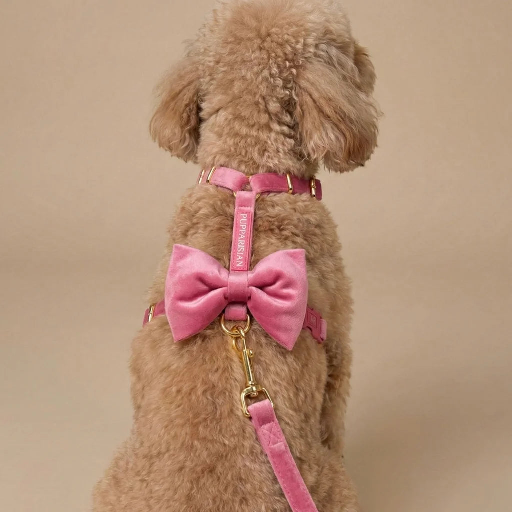 Welurowe szelki guard dla psa 2.0 - różowe