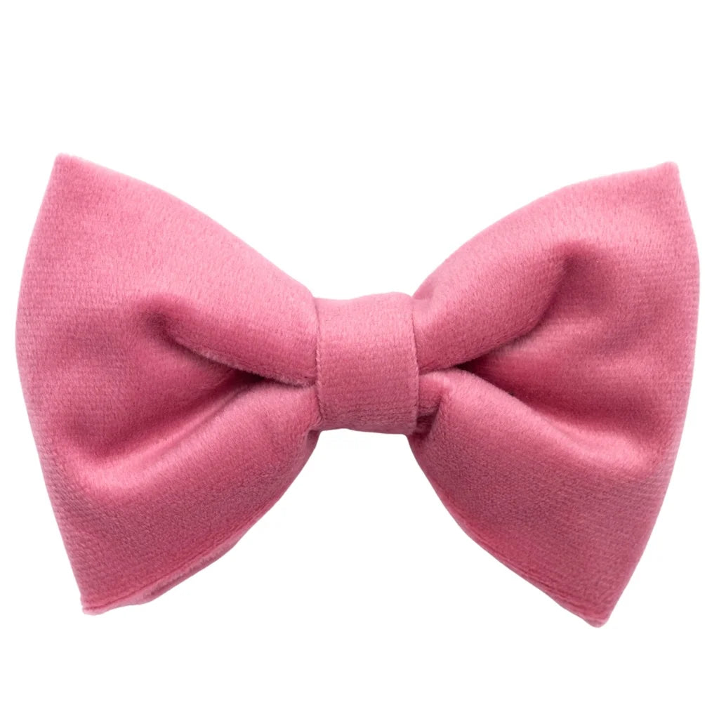 Welurowa obroża z muszką dla psa – różowa