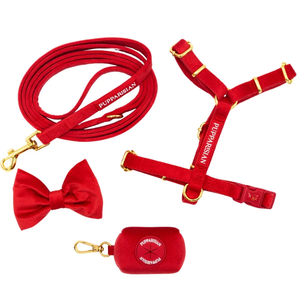 Welurowe szelki guard dla psa z kokardą 2.0 – czerwone