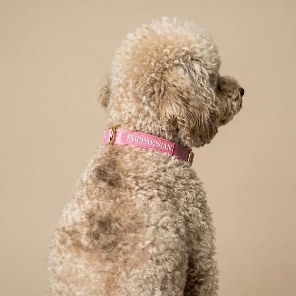 Welurowa obroża z muszką dla psa – różowa