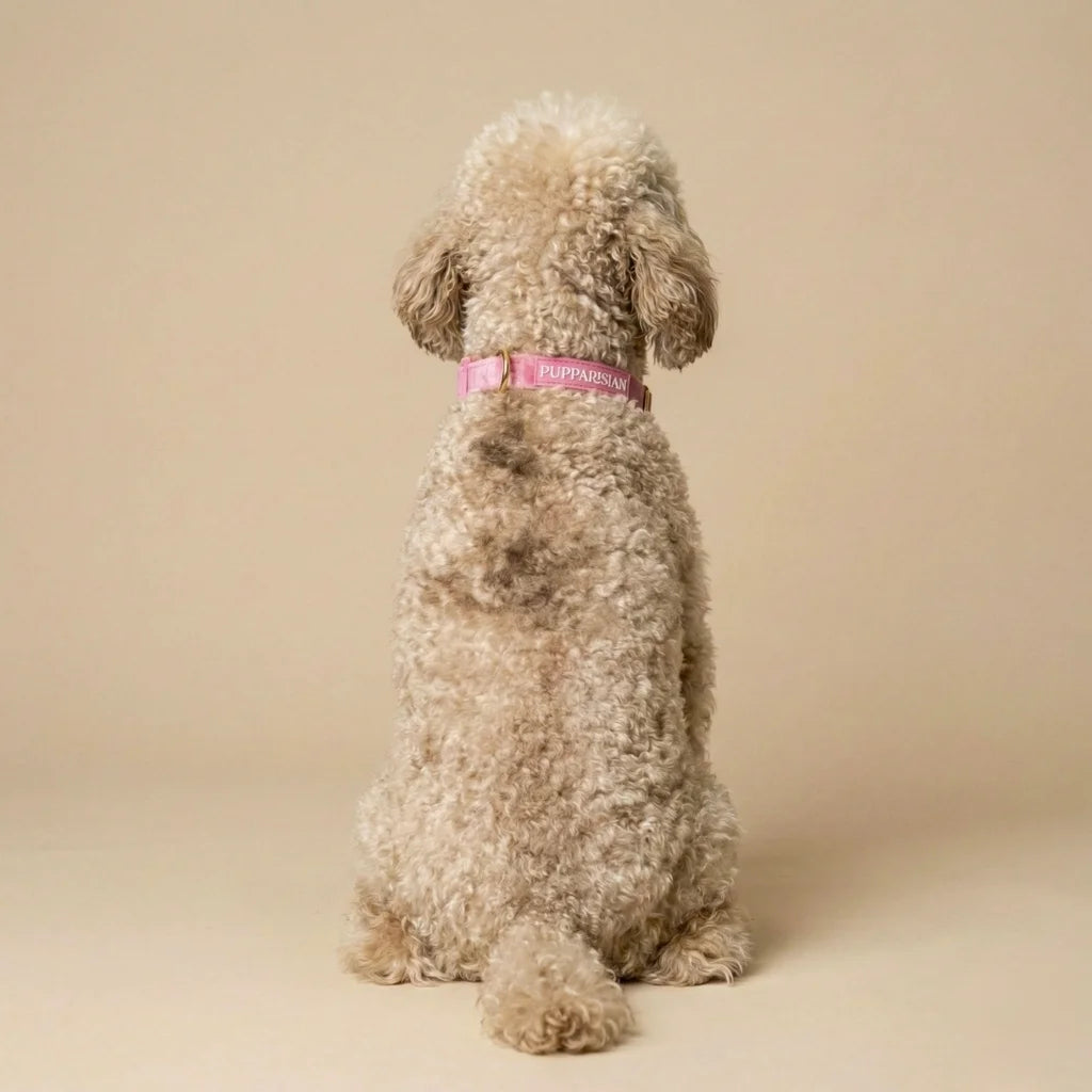 Welurowa obroża z muszką dla psa – różowa