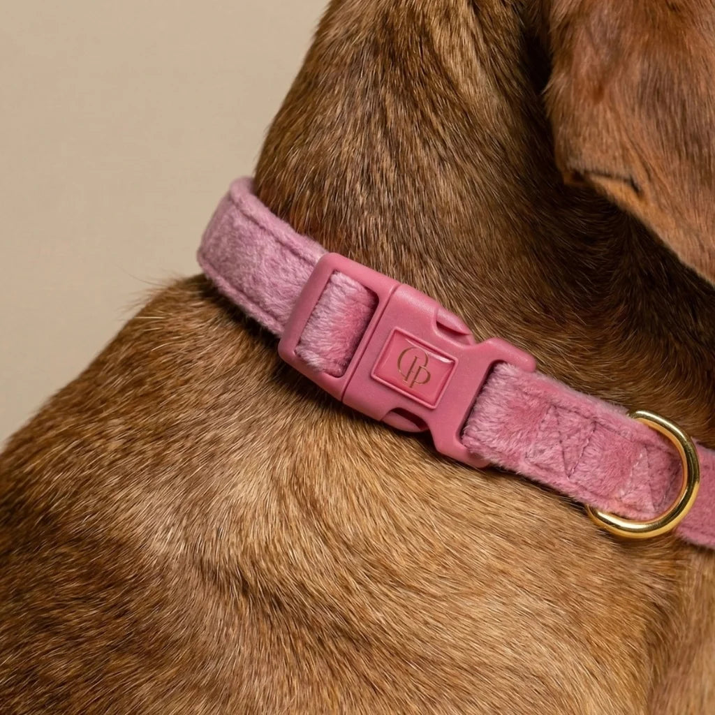 Welurowa obroża z muszką dla psa – różowa